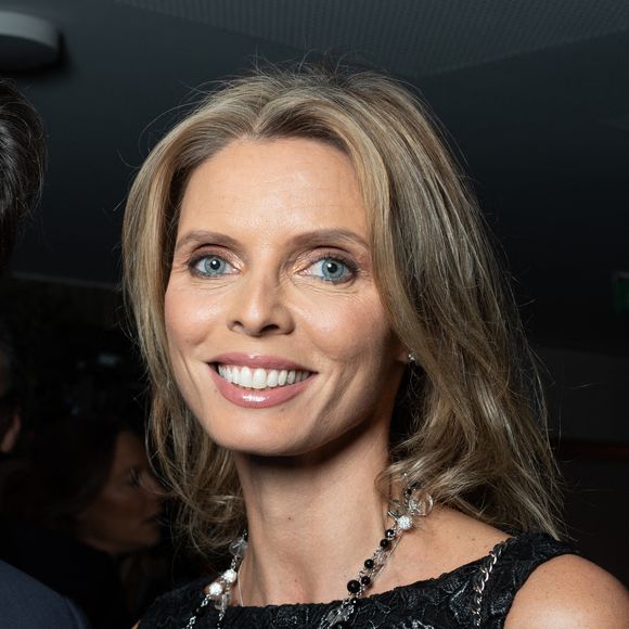Sylvie Tellier pose pour un photocall lors du Gala de charité de l'Institut Rafael et de la Fondation ZAG au Pavillon Gabriel à Paris, le 12 novembre 2024. Photo by Alexis Jumeau/ABACAPRESS.COM