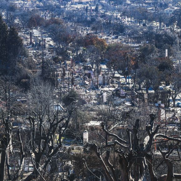 Après les incendies dévastateurs du 7 janvier 2025, les habitants d'Altadena (Calfiornie) tentent de prendre un nouveau départ, à l'instar du couple belge Nicolas Husson et Catherine De Pauw, résidant aux Etats-Unis depuis 24 ans dont 18 ans passés à Los Angeles. Le 12 janvier 2025. 
© Pieter-Jan Vanstockstraeten / Bestimage