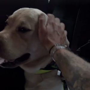 Mais tout est bien qui finit bien, finalement un chauffeur d'Uber a enfin accepté d'embarquer son compagnon à poils et lui !

Capture d'écran Instagram Hugo Manos le mercredi 13 août 2025. © Instagram Hugo Manos