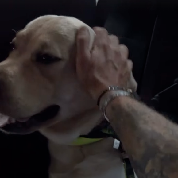 Mais tout est bien qui finit bien, finalement un chauffeur d'Uber a enfin accepté d'embarquer son compagnon à poils et lui !

Capture d'écran Instagram Hugo Manos le mercredi 13 août 2025. © Instagram Hugo Manos