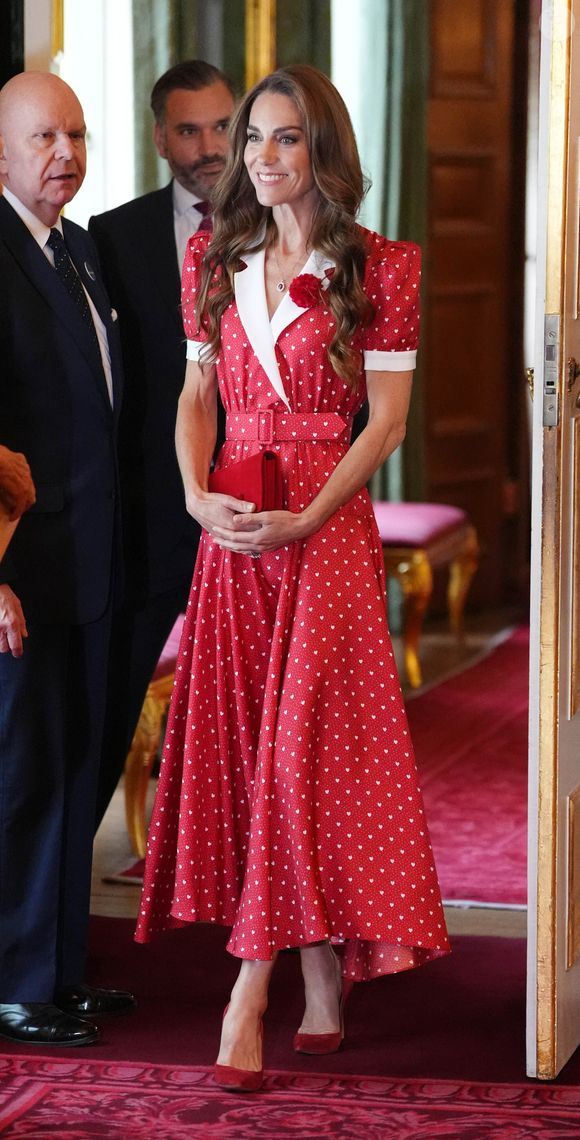 La princesse portait une nouvelle tenue de sa garde robe : une superbe robe rouge à imprimés blancs en forme de cœurs, de la marque Rodarte.

La princesse de Galles lors d'une réception organisée par Cancer Research UK à l'occasion du 125e anniversaire de l'organisation caritative, au St James's Palace, à Londres. 

©Bestimage