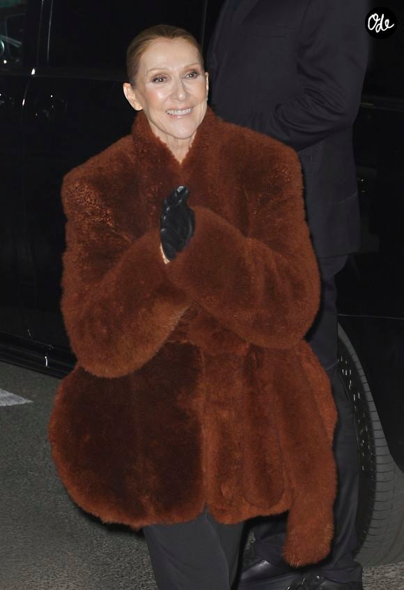 Céline Dion est de retour à l'hôtel Royal Monceau après un concert à la Plénitude Arena à Paris La Défense le 9 octobre 2026. © Christophe Aubert / Bestimage
