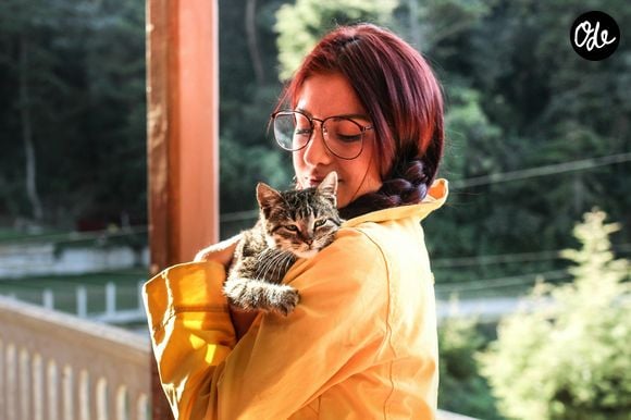 Mais lorsque leur nombre devient particulièrement important, une question se pose : s'agit-il simplement d'une passion pour les animaux ou ce comportement peut-il traduire un mal-être plus profond ?

Mel Elias /Unsplash