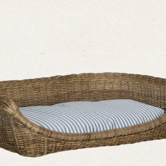 Collection Pamela Anderson Olive Ateliers