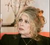 Brigitte Bardot, âgée de 91 ans, a été prise en charge à l’hôpital Saint-Jean de Toulon.  

Brigitte Bardot au "Noel des animaux" à Levallois Perret

Agence Bestimage