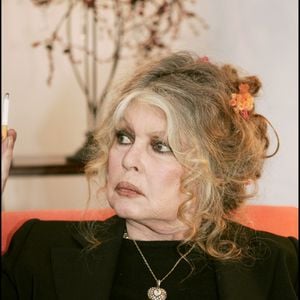 Brigitte Bardot, âgée de 91 ans, a été prise en charge à l’hôpital Saint-Jean de Toulon.  

Brigitte Bardot au "Noel des animaux" à Levallois Perret

Agence Bestimage