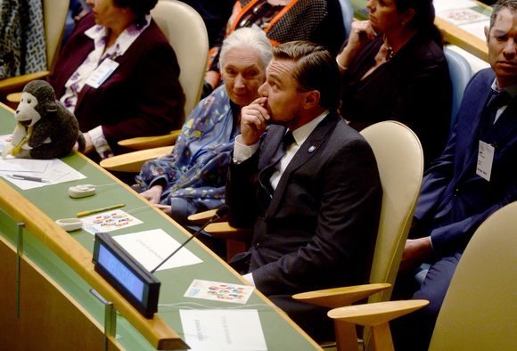 Jane Goodall, les Messagers de la paix de l'ONU, l'acteur oscarisé Leonardo DiCaprio et Stevie Wonder à l'Assemblée générale lors de la cérémonie de la cloche de la paix des Nations Unies qui se tient chaque année à cette date dans le jardin japonais sur le site du siège des Nations Unies à New York City, NY, USA, le 16 septembre 2016. Photo by Dennis Van Tine/ABACAPRESS.COM