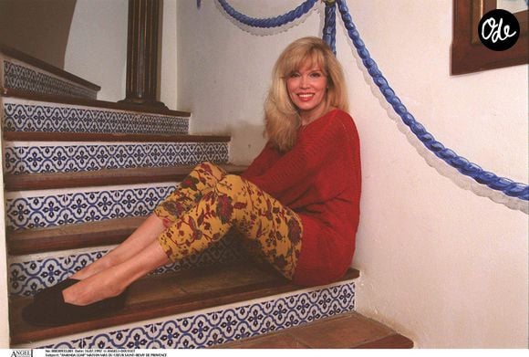 Archives — Amanda Lear dans sa maison de Saint-Rémy-de-Provence.