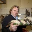 Gérard Depardieu vient de vendre sa somptueuse demeure dans un quartier prestigieux de Paris pour plusieurs millions d’euros, avec piscine intérieure et cuisine professionnelle