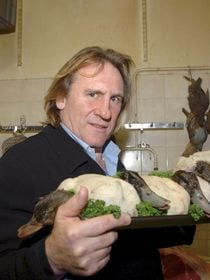 Gérard Depardieu vient de vendre sa somptueuse demeure dans un quartier prestigieux de Paris pour plusieurs millions d’euros, avec piscine intérieure et cuisine professionnelle