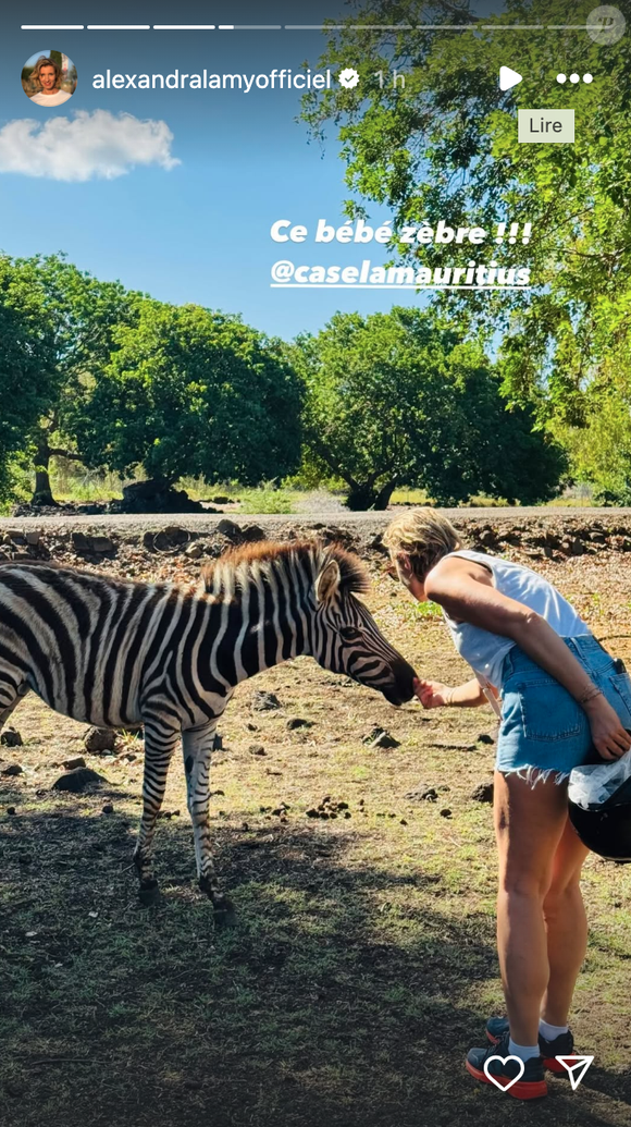 Sur place, l'actrice a pu croiser des animaux sauvages comme des zèbres

Alexandra Lamy à l'Île Maurice dans le cadre du Festival international du film au féminin.