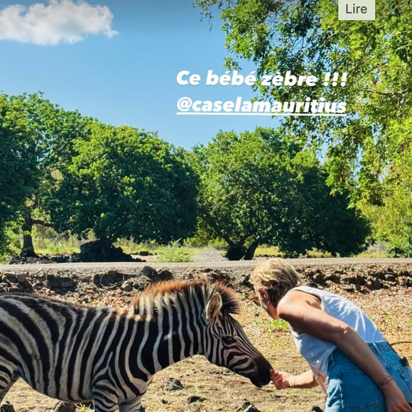 Sur place, l'actrice a pu croiser des animaux sauvages comme des zèbres

Alexandra Lamy à l'Île Maurice dans le cadre du Festival international du film au féminin.