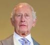 Le roi Charles III souhaite rendre publique sa fiche d’imposition.

Le roi Charles III (King Charles III), Royal Ascot 2026, course hippique royale, 4e journée à Ascot, Royaume-Uni.
Backgrid USA / Bestimage