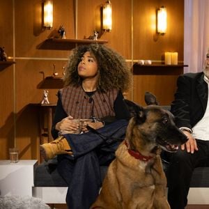 Exclusif - Bernard Montiel, Raphaël Mezrah, Oli. avec Chantal Ladesou et Eric Baratay invités, et Olivia la juriste sur plateau de l'émission "Animalement Vôtre" présentée par Bernard Montiel et diffusée le 8 février 2026 sur France 3, à Paris, France, le 12 janvier 2026. © Julien Sarkissian/Bestimage