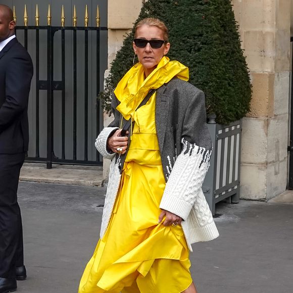 Le 17 mai 2025, grand nombre auraient espéré la voir à la 69ème édition de l'Eurovison qui s'est orchestrée à Bâle en Suisse. A rappeler qu'elle avait remporté le célèbre concours européen pour ce pays en 1988, à Dublin !

Céline Dion quitte l'hôtel de Crillon pour se rendre à l'hôtel Plaza Athénée à Paris le 29 janvier 2019 où elle doit tourner une publicité l'Oréal.