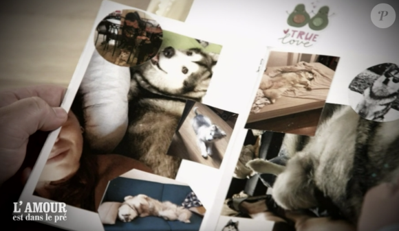 Guillaume de L'amour est dans le pré saison 17, ému en voyant le husky de Noémie ©M6