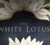 L'actrice intègre officiellement la distribution de la quatrième saison de la série The White Lotus.

The White Lotus HBO