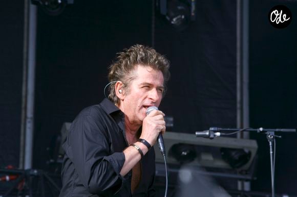 Archives - Hubert-Félix Thiéfaine - Fête de l'Humanité 2012. Le 16 septembre 2012