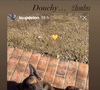 Sur Instagram, elle a partagé les tendres instants passés avec le chien que son père a repostés sur les réseaux sociaux
Loup Delon et Loubo à Douchy