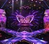 Ceux-ci ne sont cependant pas forcément des plus pratiques pour se déplacer sur scène.

Saison 7 de "Mask Singer" sur TF1 © Laurent VU / TF1
