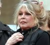 "BB" est venue dans une émission de l'animateur et ils sont devenus amis
L'actrice française et militante des droits des animaux Brigitte Bardot participe à une manifestation pour les droits des animaux devant le Panthéon à Paris, France, le 24 mars 2007. Photo par Nicolas Khayat/ABACAPRESS.COM