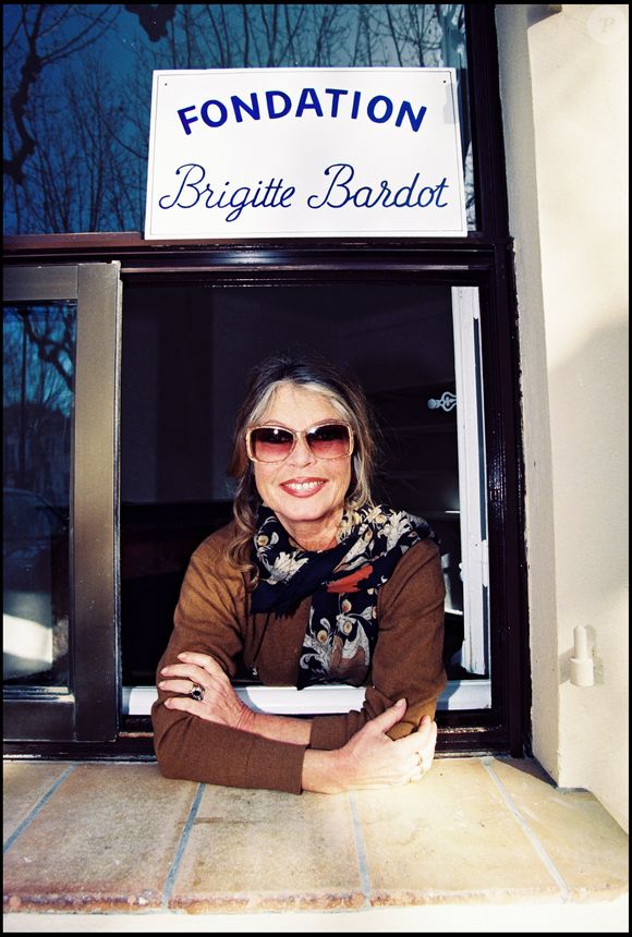 Archives de Brigitte Bardot

Photo : Agence / Bestimage