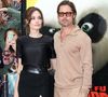 Brad Pitt vit à Correns, où il continue de gérer le domaine de Miraval, hérité depuis son divorce avec Angelina Jolie. 

Brad Pitt et Angelina Jolie à la première du film "Kung Fu Panda 2" à Hollywood. © Fame Pictures / Bestimage