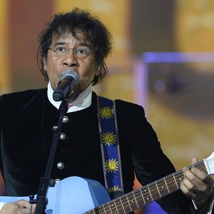 Laurent Voulzy lors de la soirée des 30e Victoires de la Musique au Zénith de Paris, le 13 février 2015.