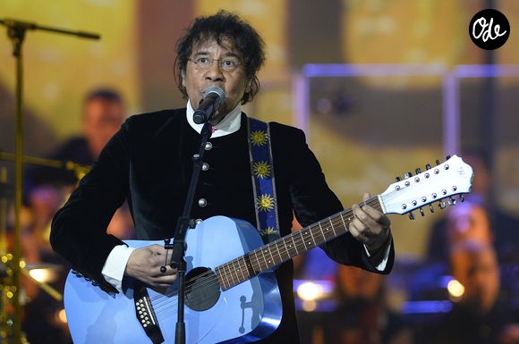Laurent Voulzy lors de la soirée des 30e Victoires de la Musique au Zénith de Paris, le 13 février 2015.