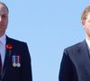 Les deux frères ont appris la disparition de leur jeune cousine âgée de 20 ans.

Le prince William et le Prince Harry lors des commémorations des 100 ans de la bataille de Vimy, le 9 avril 2017. 

Photo : Aurore Marechal / Pool / Bestimage