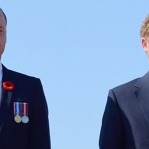 Les deux frères ont appris la disparition de leur jeune cousine âgée de 20 ans.

Le prince William et le Prince Harry lors des commémorations des 100 ans de la bataille de Vimy, le 9 avril 2017. 

Photo : Aurore Marechal / Pool / Bestimage