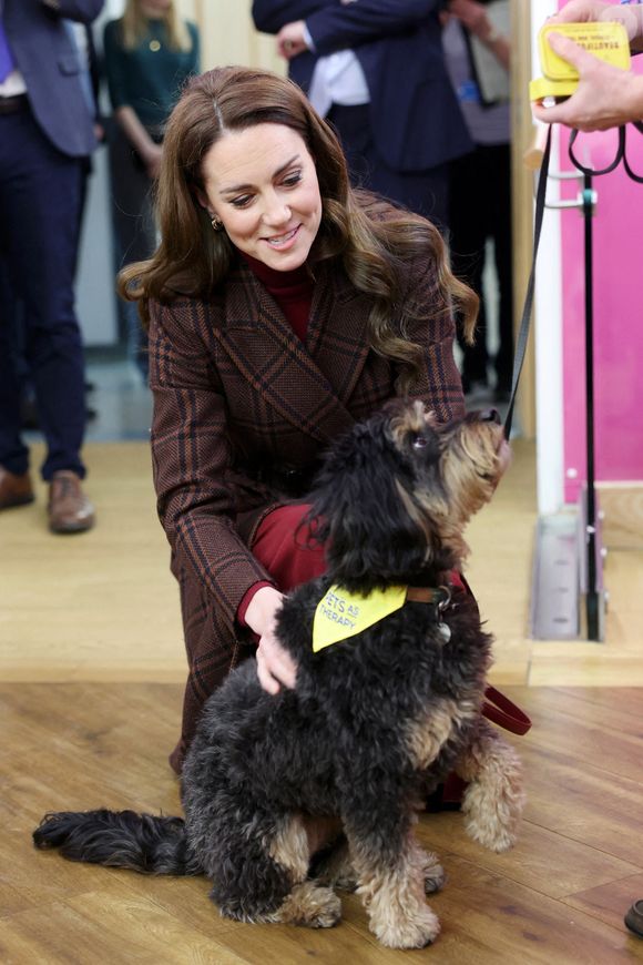 Un changement amorcé vraisemblablement dès ce début 2025.

La princesse de Galles rencontre Scout, un chien de thérapie, lors d'une visite à l'hôpital Royal Marsden, à Londres le mardi 14 janvier 2025. Photo by Chris Jackson/PA Wire/ABACAPRESS.COM
