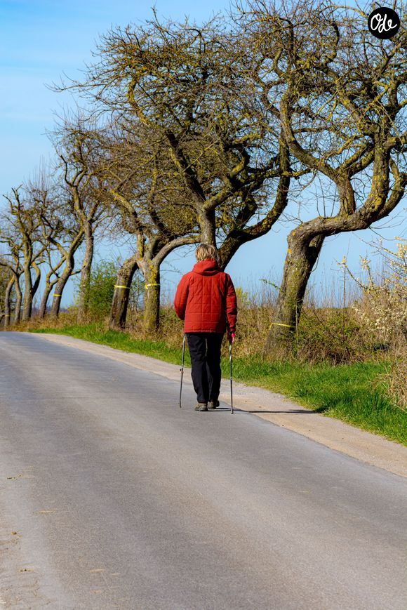 Pour le coach, mieux vaut marcher régulièrement que multiplier les efforts de façon ponctuelle.

Image Pexels