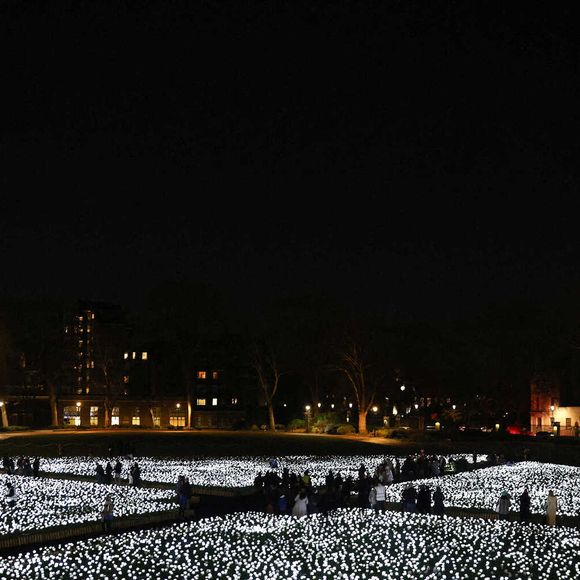 La princesse de Galles visite le jardin Ever After à l'hôpital Royal Marsden. Le jardin est composé de 30 000 roses illuminées que les membres du public peuvent dédier à un membre de leur famille en soutien à la Royal Marsden Cancer Charity à Londres, Angleterre, Royaume-Uni, le 13 décembre 2025. Photo by Toby Shepheard/Kensington Palace/Avalon/ABACAPRESS.COM