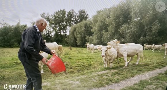 Jean-Louis, nouvel agriculteur de "L'amour est dans le pré". M6