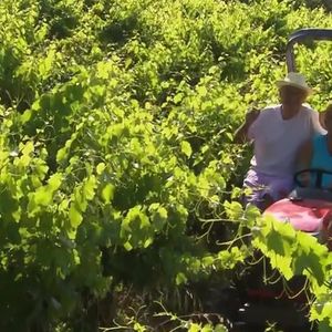 Michel Drucker dévoile des images de la maison de Mimie Mathy située à Vaison-la-Romaine dans l'émission Vivement dimanche le 9 février 2025 sur France 3.