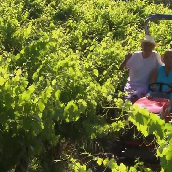 Michel Drucker dévoile des images de la maison de Mimie Mathy située à Vaison-la-Romaine dans l'émission Vivement dimanche le 9 février 2025 sur France 3.