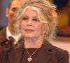 Dans ses mémoires publiées en 1996, elle comparait sa grossesse à une "tumeur" et avouait avoir préféré accoucher d'un petit chien

Archives - Brigitte Bardot le 1er juin 2011 à Paris. JLPPA / Bestimage