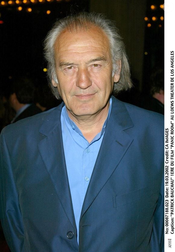 Après une pause, la carrière de Patrick a pris une dimension internationale dans les années 80 grâce à ses rôles dans "Guns" et "The State of Things".

Patrick Bauchau à l'avant-première du film Panic Room à Los Angeles le 19/03/2002.

Photo : FAME PICTURES / BESTIMAGE
