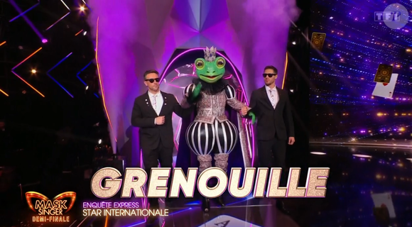 Cette célébrité mondialement connue a performé

La Grenouille dans "Mask Singer 7", capture d'écran TF1