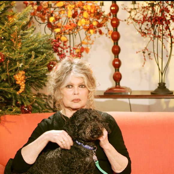 Exclusif - Brigitte Bardot au "Noël des animaux" à Levallois-Perret. 
Photographe : AGENCE / BESTIMAGE