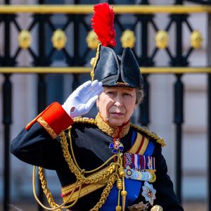 La princesse Anne, - Les membres de la famille royale britannique arrivent à Buckingham Palace pour la cérémonie Trooping the Colour à Londres, le 14 juin 2025.© Backgrid / Bestimage