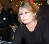 Face à ce comportement, Brigitte Bardot a pris les devants en changeant de décor.
L'ancienne actrice Brigitte Bardot fête le Noël de la Société Protectrice des Animaux dans son refuge d'Auteuil. © Giancarlo Gorassini/ABACA. 40736-13. Paris-France, 14/12/2002.