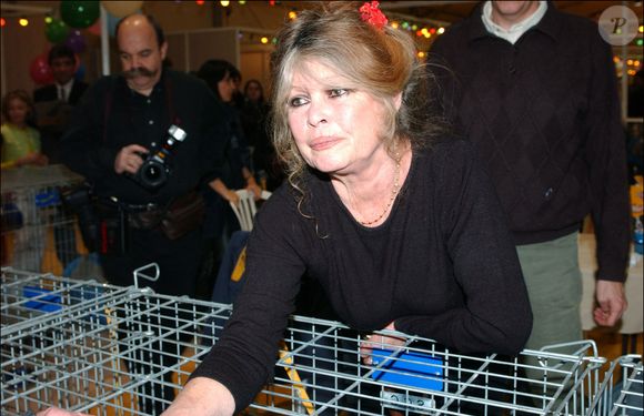 Face à ce comportement, Brigitte Bardot a pris les devants en changeant de décor.

L'ancienne actrice Brigitte Bardot fête le Noël de la Société Protectrice des Animaux dans son refuge d'Auteuil. © Giancarlo Gorassini/ABACA. 40736-13. Paris-France, 14/12/2002.