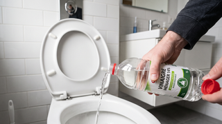 Verser du vinaigre dans les toilettes une fois par semaine : à quoi cela sert-il et quels sont ses bienfaits ?