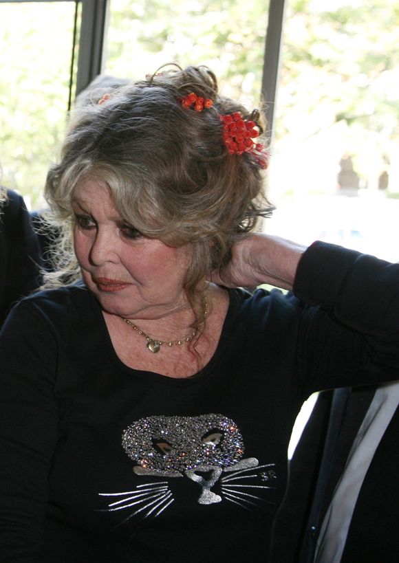 Brigitte Bardot lors des 20 ans de la Fondation Brigitte Bardot à Paris, le 28 septembre 2006.
© Bestimage