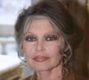 Dans une récente interview accordée à "Nice-Matin", le veuf de Brigitte Bardot s'est confié au sujet de l'héritage de la comédienne

Archives - Brigitte Bardot est morte à 91 ans.
Crédit : JLPPA / Bestimage
