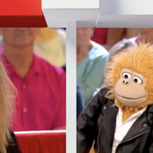 "Vivement dimanche", 7 septembre 2025 @ Captures d'écran France 3