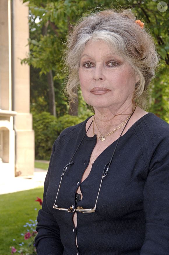 L'ancienne actrice Brigitte Bardot rencontre le ministre de l'Agriculture et de la Pêche, Dominique Bussereau, à Paris, le 11 mai 2006. Elle souhaite l'informer de l'augmentation du nombre d'animaux domestiques et de la mise en place d'une réglementation plus stricte. Photo : Giancarlo Gorassini/ABACAPRESS.COM