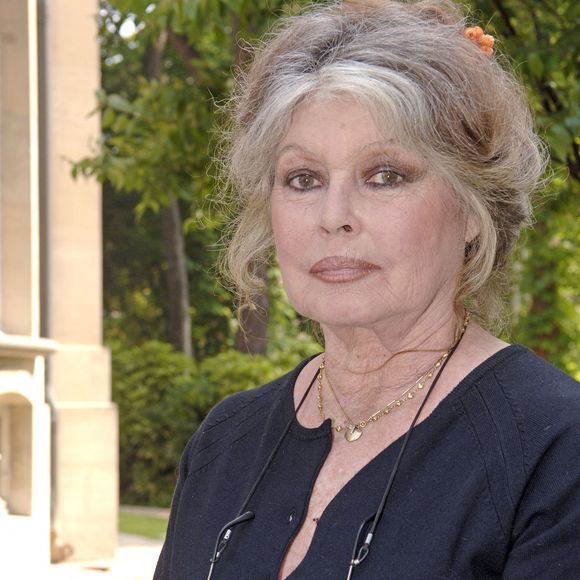 L'ancienne actrice Brigitte Bardot rencontre le ministre de l'Agriculture et de la Pêche, Dominique Bussereau, à Paris, le 11 mai 2006. Elle souhaite l'informer de l'augmentation du nombre d'animaux domestiques et de la mise en place d'une réglementation plus stricte. Photo : Giancarlo Gorassini/ABACAPRESS.COM
